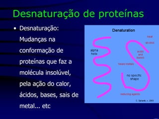 Desnaturação de proteínas
• Desnaturação:
Mudanças na
conformação de
proteínas que faz a
molécula insolúvel,
pela ação do calor,
ácidos, bases, sais de
metal... etc
 