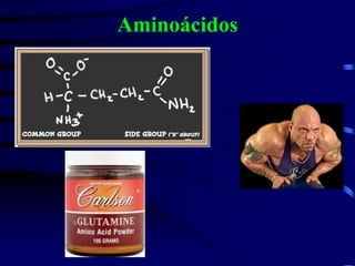 Aminoácidos
 