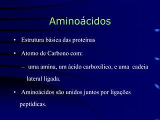 Aminoácidos
• Estrutura básica das proteínas
• Atomo de Carbono com:
– uma amina, um ácido carboxílico, e uma cadeia
lateral ligada.
• Aminoácidos são unidos juntos por ligações
peptídicas.
 