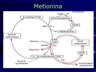 Metionina
 
