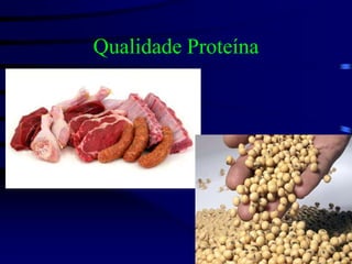 Qualidade Proteína
 