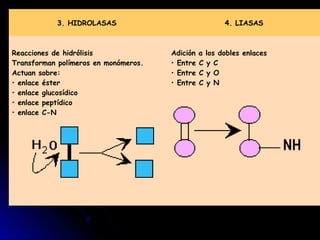 5. ISOMERASAS 6. LIGASAS
Reacciones de isomerización
                                                      
              ...