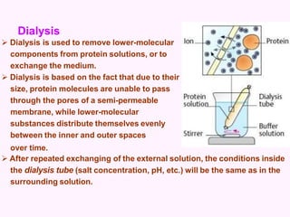  Dialysis is used to remove lower-molecular
components from protein solutions, or to
exchange the medium.
 Dialysis is based on the fact that due to their
size, protein molecules are unable to pass
through the pores of a semi-permeable
membrane, while lower-molecular
substances distribute themselves evenly
between the inner and outer spaces
over time.
 After repeated exchanging of the external solution, the conditions inside
the dialysis tube (salt concentration, pH, etc.) will be the same as in the
surrounding solution.
Dialysis
 