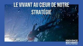 LE VIVANT AU CŒUR DE NOTRE
STRATÉGIE
 
