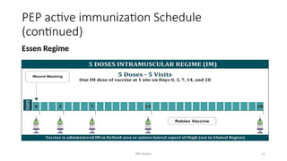Post Exposure Rabies Protocol Post Exposure Prophylaxis of Rabies UG level | PPTX