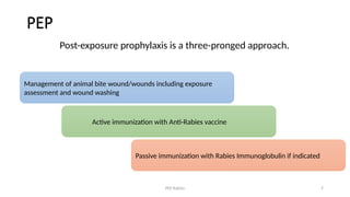 Post Exposure Rabies Protocol Post Exposure Prophylaxis of Rabies UG level | PPTX
