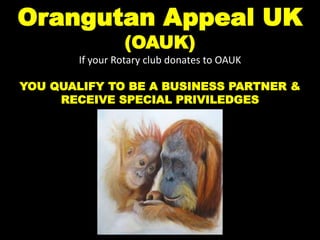 Orangutan Appeal UK
(OAUK)
If your Rotary club donates to OAUK
YOU QUALIFY TO BE A BUSINESS PARTNER &
RECEIVE SPECIAL PRIVILEDGES
 