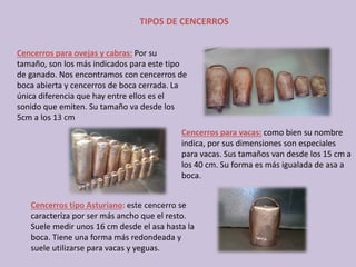 Cencerros para ovejas y cabras: Por su 
tamaño, son los más indicados para este tipo 
de ganado. Nos encontramos con cencerros de 
boca abierta y cencerros de boca cerrada. La 
única diferencia que hay entre ellos es el 
sonido que emiten. Su tamaño va desde los 
5cm a los 13 cm
Cencerros para vacas: como bien su nombre 
indica, por sus dimensiones son especiales 
para vacas. Sus tamaños van desde los 15 cm a 
los 40 cm. Su forma es más igualada de asa a 
boca.
Cencerros tipo Asturiano: este cencerro se 
caracteriza por ser más ancho que el resto. 
Suele medir unos 16 cm desde el asa hasta la 
boca. Tiene una forma más redondeada y  
suele utilizarse para vacas y yeguas.
TIPOS DE CENCERROS
 