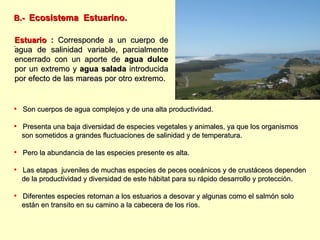 B.-  Ecosistema  Estuarino.   . Son cuerpos de agua complejos y de una alta productividad. Presenta una baja diversidad de especies vegetales y animales, ya que los organismos son sometidos a grandes fluctuaciones de salinidad y de temperatura.  Pero la abundancia de las especies presente es alta. Las etapas  juveniles de muchas especies de peces oceánicos y de crustáceos dependen de la productividad y diversidad de este hábitat para su rápido desarrollo y protección.  Diferentes especies retornan a los estuarios a desovar y algunas como el salmón solo  están en transito en su camino a la cabecera de los ríos.   Estuario   :  Corresponde a un cuerpo de agua de salinidad variable, parcialmente encerrado con un aporte de  agua dulce  por un extremo y  agua salada  introducida por efecto de las mareas por otro extremo. 