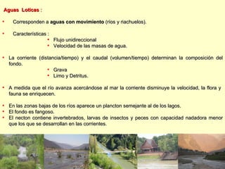 Aguas  Loticas  :   Corresponden a  aguas con movimiento  (ríos y riachuelos). Características   : Flujo unidireccional  Velocidad de las masas de agua. La corriente (distancia/tiempo) y el caudal (volumen/tiempo) determinan la composición del fondo. Grava Limo y Detritus. A medida que el río avanza acercándose al mar la corriente disminuye la velocidad, la flora y  fauna se enriquecen. En las zonas bajas de los ríos aparece un plancton semejante al de los lagos. El fondo es fangoso. El necton contiene invertebrados, larvas de insectos y peces con capacidad nadadora menor que los que se desarrollan en las corrientes . 