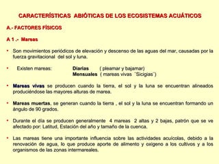 CARACTERÍSTICAS  ABIÓTICAS DE LOS ECOSISTEMAS ACUÁTICOS A .-  FACTORES FÍSICOS A 1 .-  Mareas Son movimientos periódicos de elevación y descenso de las aguas del mar, causadas por la fuerza gravitacional  del sol y luna. Existen mareas:  Diarias   ( pleamar y bajamar) Mensuales   ( mareas vivas  ¨Sicigias¨) Mareas vivas  se producen cuando la tierra, el sol y la luna se encuentran alineados produciéndose las mayores alturas de marea. Mareas muertas , se generan cuando la tierra , el sol y la luna se encuentran formando un ángulo de 90 grados. Durante el día se producen generalmente  4 mareas  2 altas y 2 bajas, patrón que se ve afectado por: Latitud, Estación del año y tamaño de la cuenca. Las mareas tiene una importante influencia sobre las actividades acuícolas, debido a la renovación de agua, lo que produce aporte de alimento y oxigeno a los cultivos y a los organismos de las zonas intermareales. 