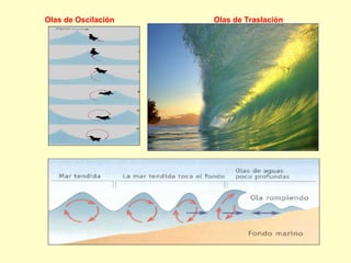 Olas de Oscilación Olas de Traslación 