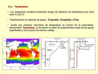 A 4.-  Temperatura Los organismos acuáticos presentan rangos de tolerancia de temperatura que varía entre 0 y 25º C. Clasificándose en especies de aguas :  Tropicales ,  Templadas  y  Frías . Existe una variación importante de temperatura en función de la profundidad, denominada   Termoclina , su formación se debe al recalentamiento solar de las aguas superficiales y de la acción de vientos y oleaje . 