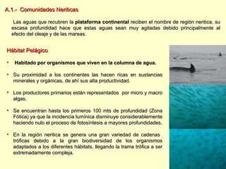 Hábitat Pelágico Habitado por organismos que viven en la columna de agua. Su proximidad a los continentes las hacen ricas en sustancias minerales y orgánicas, de ahí sus alta productividad.  Los productores primarios están representados  por micro y macro algas. Se encuentran hasta los primeros 100 mts de profundidad (Zona Fótica) ya que la incidencia lumínica disminuye considerablemente haciendo nulo el proceso de fotosíntesis a mayores profundidades. En la región neritica se genera una gran variedad de cadenas  tróficas debido a la gran biodiversidad de los organismos adaptados a los diferentes hábitats, llegando la trama trófica a ser extremadamente compleja.  A.1.-  Comunidades Neriticas   Las aguas que recubren la  plataforma continental  reciben el nombre de región neritica, su escasa profundidad hace que estas aguas sean muy agitadas debido principalmente al efecto del oleaje y de las mareas . 