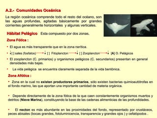 A.2.-  Comunidades Oceánica La región oceánica comprende todo el resto del océano, son las aguas profundas, agitadas básicamente por grandes corrientes generalmente horizontales  y algunas verticales. Zona Afótica :   Zona en la cual no  existen productores primarios , sólo existen bacterias quimioautótrofas en el fondo marino, las que aportan una importante cantidad de materia orgánica. Depende directamente de la zona fótica de la que caen constantemente organismos muertos y detritos ( Nieve Marina ), constituyendo la base de las cadenas alimenticias de las profundidades. El  necton  es más abundante en las proximidades del fondo, representado por crustáceos, peces abisales (bocas grandes, fotoluminicencia, transparencia y grandes ojos ) y cefalópodos . Hábitat Pelágico   Esta compuesto por dos zonas. Zona Fótica :   El agua es más transparente que en la zona nerítica.  [ ] sales (fosfatos)  [ ]  Fitoplancton  [ ] Zooplancton  [ A ] O. Pelágicos El zooplancton (C. primarios) y organismos pelágicos (C. secundarios) presentan en general densidades más bajas. La vida pelágica  se encuentra claramente separada de la vida bentónica. 