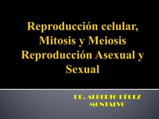 Reproducción celular, Mitosis y MeiosisReproducción Asexual y Sexual DR. ALBERTO PÉREZ MONTALVO 