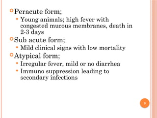 Rinderpest in Domestic and Corridor animals | PPTX