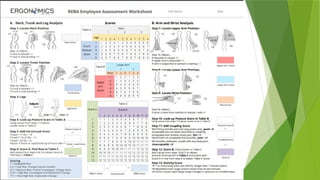 02 Risk Assessment & Ergo Assessment.pptx