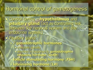 Hormonal control of gametogenesis
• Control centre – hypothalamus and
  pituitary gland (act as controlling link
  between the nervous system and the
  endocrine system)
• Pituitary gland:
  – 2 gonadotrophic hormones
     • stimulate gonads
     • secreted in response to gonadotrophin
       releasing hormone (GnRH)
  – follicle stimulating hormone (FSH)
  – luteinising hormone (LH)
                                               ALBIO9700/2006JK
 