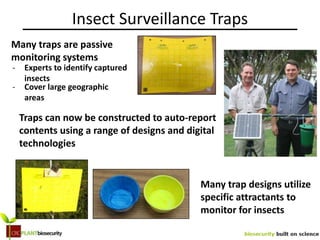 Smart Interconnected Insect Traps Smart-trap design and deployment strategies | PPTX
