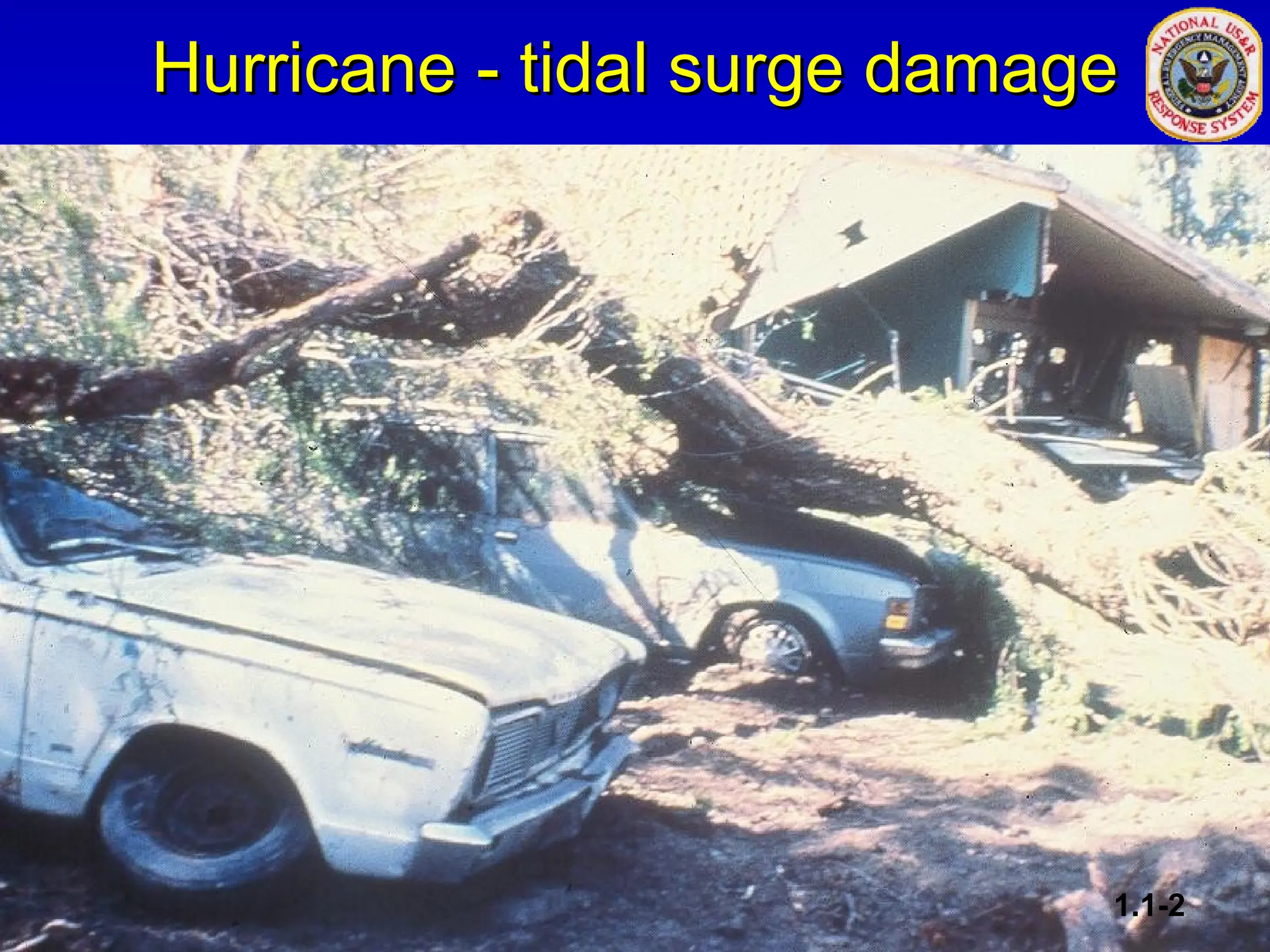 Hurricane - tidal surge damage
Hurricane - tidal surge damage
1.1-2
 