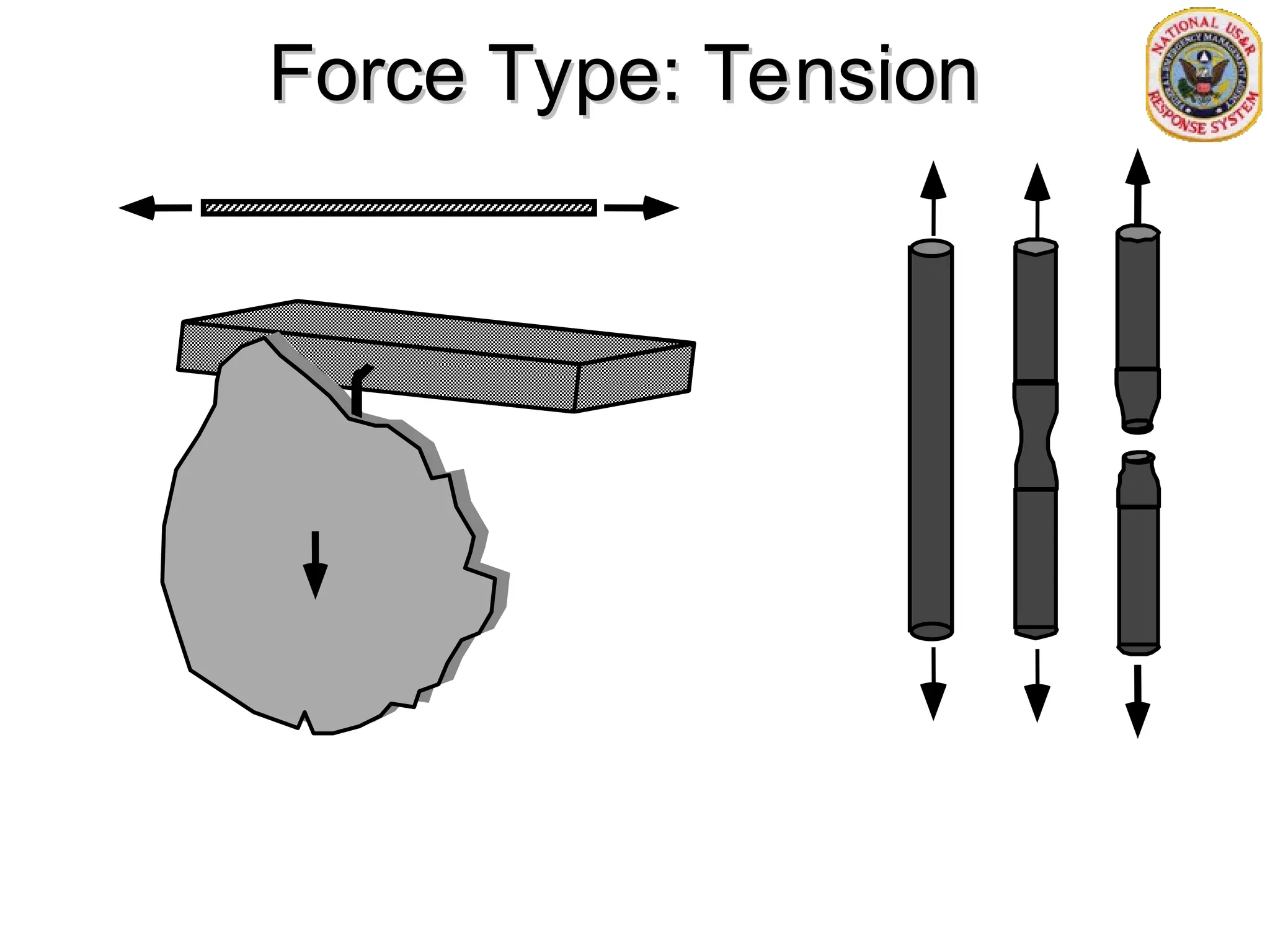 Force Type: Tension
Force Type: Tension
 