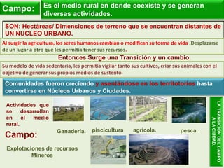 Campo: Es el medio rural en donde coexiste y se generan
diversas actividades.
SON: Hectáreas/ Dimensiones de terreno que se encuentran distantes de
UN NUCLEO URBANO.
Actividades que
se desarrollan
en el medio
rural.
Ganadería. agrícola.piscicultura
Al surgir la agricultura, los seres humanos cambian o modifican su forma de vida .Desplazarse
de un lugar a otro que les permitía tener sus recursos.
Su modelo de vida sedentaria, les permitía vigilar tanto sus cultivos, criar sus animales con el
objetivo de generar sus propios medios de sustento.
Comunidades fueron creciendo y asentándose en los territotorios hasta
convertirse en Núcleos Urbanos y Ciudades.
Explotaciones de recursos
Mineros
pesca.
Campo:
LATRANSICIÓNDELCAMPO
ALACIUDAD.
Entonces Surge una Transición y un cambio.
 