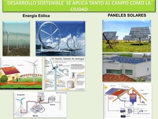 DESARROLLO SOSTENIBLE SE APLICA TANTO AL CAMPO COMO LA
CIUDAD
Energía Eólica PANELES SOLARES
 