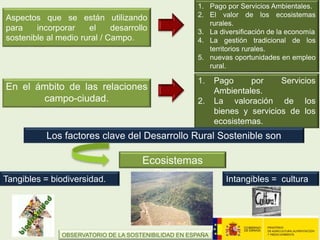 Aspectos que se están utilizando
para incorporar el desarrollo
sostenible al medio rural / Campo.
En el ámbito de las relaciones
campo-ciudad.
1. Pago por Servicios Ambientales.
2. El valor de los ecosistemas
rurales.
3. La diversificación de la economía
4. La gestión tradicional de los
territorios rurales.
5. nuevas oportunidades en empleo
rural.
1. Pago por Servicios
Ambientales.
2. La valoración de los
bienes y servicios de los
ecosistemas.
Los factores clave del Desarrollo Rural Sostenible son
Ecosistemas
RuralesTangibles = biodiversidad. Intangibles = cultura
OBSERVATORIO DE LA SOSTENIBILIDAD EN ESPAÑA
 