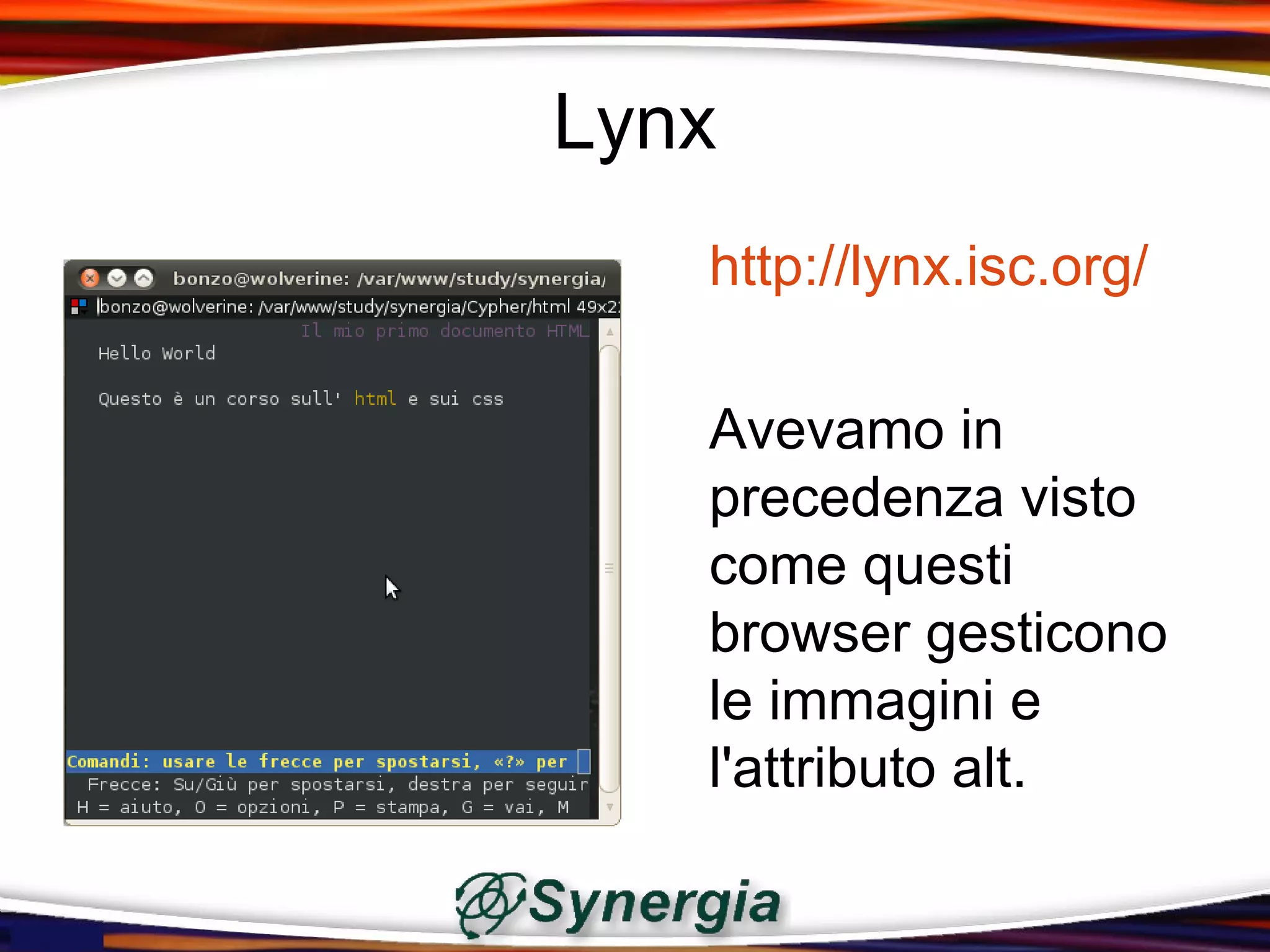 Lynx
   http://lynx.isc.org/

   Avevamo in
   precedenza visto
   come questi
   browser gesticono
   le immagini e
   l'attributo alt.
 