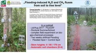 „Flooding-induced N2O and CH4 fluxes
from soil to tree level”
Thomas Schindler (1), Ülo Mander (1), Katerina Machácová
(2), Iuliia Burdun (1), Dmitrii Krasnov (3), Gert Veber (1), and
Kaido Soosaar (1)
(1) University of Tartu, Institute of Ecology & Earth Sciences, Department of
Geography, Tartu, Estonia; (2) Lab. of Ecological Plant Physiology, Global
Change Research Institute CAS, Brno, Czech Republic, (3) Department of
Plant Physiology, Estonian University of Life Sciences, Tartu, Estonia
In a nutshell
- Jul/Aug 2017 - FluxGAF
- Doctoral SummerSchool
- complex field experiment on bio-
geo-chemical processes
- Two weeks artificial Flooding
- Flooded Spot + Control Spot
- Stem heights: 0 / 80 / 170 cm
- Automatic soil chambers (8+4)
 