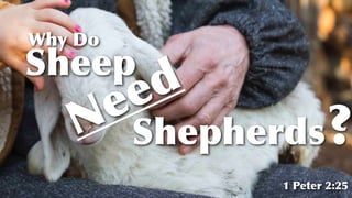 Why Do
ShepherdsNeed
Sheep
?
1 Peter 2:25
 