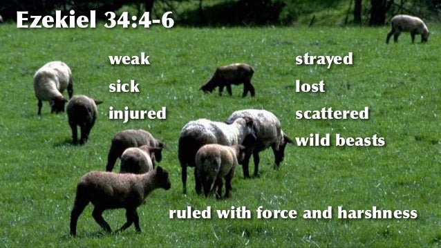 https://image.slidesharecdn.com/02sheepnn-160725005210/95/why-do-sheep-need-shepherds-6-638.jpg?cb=1469408073