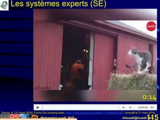 Mohamed Louadi, PhD mlouadi@louadi.com115
Samay, N. (31 mars 2018). Funny Cat Jumping video, https://www.youtube.com/watch?v=gfWpNCFjgfY, consulté le 31 mars 2018.
0:14
Les systèmes experts (SE)
 
