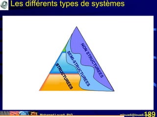 Mohamed Louadi, PhD mlouadi@louadi.com189
Les différents types de systèmes
 