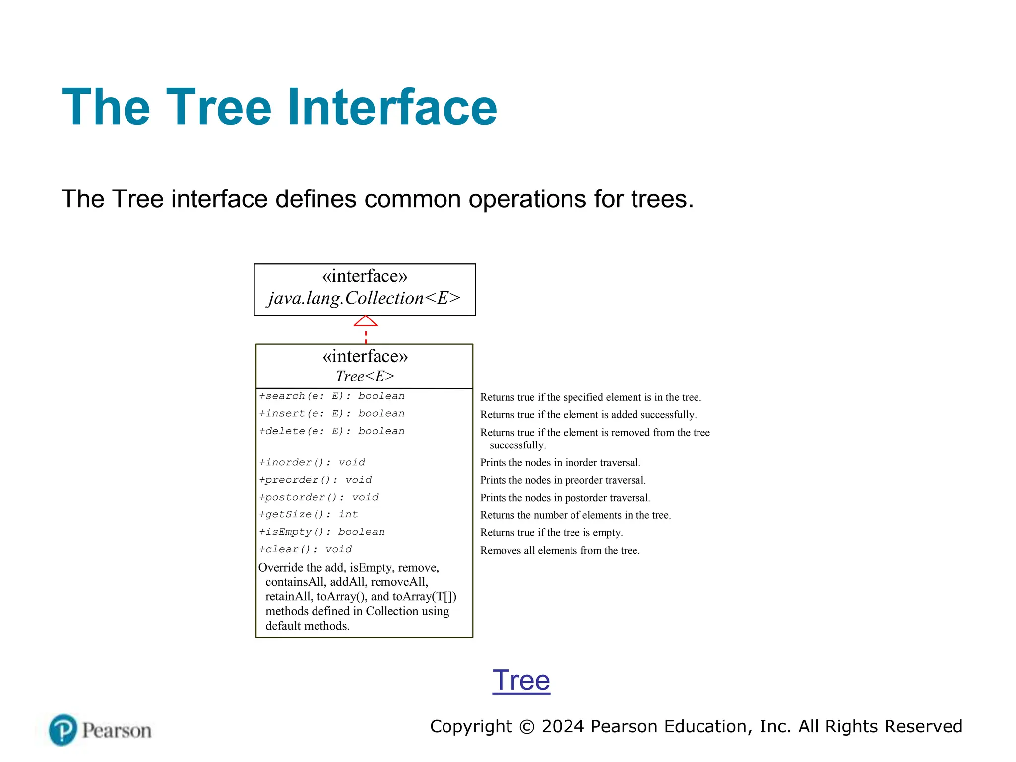 Copyright © 2024 Pearson Education, Inc. All Rights Reserved
The Tree Interface
The Tree interface defines common operations for trees.
«interface»
Tree<E>
+search(e: E): boolean
+insert(e: E): boolean
+delete(e: E): boolean
+inorder(): void
+preorder(): void
+postorder(): void
+getSize(): int
+isEmpty(): boolean
+clear(): void
Override the add, isEmpty, remove,
containsAll, addAll, removeAll,
retainAll, toArray(), and toArray(T[])
methods defined in Collection using
default methods.
Returns true if the specified element is in the tree.
Returns true if the element is added successfully.
Returns true if the element is removed from the tree
successfully.
Prints the nodes in inorder traversal.
Prints the nodes in preorder traversal.
Prints the nodes in postorder traversal.
Returns the number of elements in the tree.
Returns true if the tree is empty.
Removes all elements from the tree.
«interface»
java.lang.Collection<E>
Tree
 