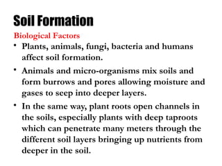 Soil Formation
• Plants, animals, fungi, bacteria and humans
affect soil formation.
• Animals and micro-organisms mix soils and
form burrows and pores allowing moisture and
gases to seep into deeper layers.
• In the same way, plant roots open channels in
the soils, especially plants with deep taproots
which can penetrate many meters through the
different soil layers bringing up nutrients from
deeper in the soil.
Biological Factors
 