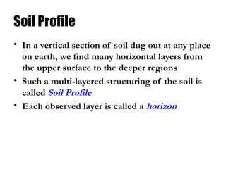 Soil Profile
• In a vertical section of soil dug out at any place
on earth, we find many horizontal layers from
the upper surface to the deeper regions
• Such a multi-layered structuring of the soil is
called Soil Profile
• Each observed layer is called a horizon
 