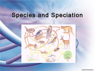Species and Speciation




                     ALBIO9700/2006JK
 