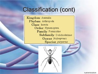Classification (cont)




                        ALBIO9700/2006JK
 