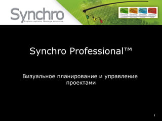 Synchro Professional™

Визуальное планирование и управление
              проектами




                                       1	

 