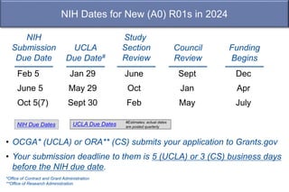 A Tactical Approach to Writing Your Grant Application - 2023 | PPTX