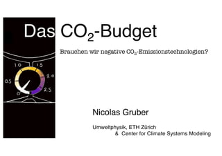 Nicolas Gruber
Umweltphysik, ETH Zürich
& Center for Climate Systems Modeling
Das CO2-Budget
Brauchen wir negative CO2-Emissionstechnologien?
 