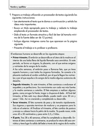 Nombre y apellidos: .....................................................................................................................

1	Prepara un trabajo utilizando un procesador de textos siguiendo las
siguientes instrucciones:
	 •  ee atentamente el texto que te damos a continuación y señala las
L
ideas más importantes.
	 •  usca un título apropiado para tu trabajo y redacta tu trabajo
B
empleando el procesador de textos.
	 •  ale al texto un formato atractivo y fácil de leer (el tamaño míniD
mo de la fuente debe ser de 12 puntos).
	 • ncluye algunas imágenes como las que aparecen en la página
I
siguiente.
	 •  resenta el trabajo a tu profesor o profesora.
P

•	 rimer trimestre. El embrión se desarrolla en el útero de la madre en el
P
interior de una bolsa llena de líquido llamada saco amniótico. En este
período, se forma un órgano, la placenta, con el que extrae oxígeno
y nutrientes de la sangre de la madre.
	 las ocho semanas, el embrión pasa a llamarse feto, que ya tiene
A
aspecto humano y casi todos los órganos formados. Se conecta a la
placenta mediante el cordón umbilical, por el que le llegan los nutrientes y por el que expulsa a la sangre de la madre algunas sustancias de
desecho.
•	 egundo trimestre. En este trimestre, el feto comienza a endurecer el
S
esqueleto y se perfecciona. Sus movimientos son cada vez más fuertes
y la madre comienza a notarlos. El feto empieza a realizar algunos
gestos, como arrugar la frente, tragar o chuparse el dedo. Al final del
trimestre, el feto está muy desarrollado, puede medir unos 30 cm y
pesar 1 kilo. Así va creciendo y completando su desarrollo.
•	 ercer trimestre. El feto aumenta de peso y de tamaño rápidamente.
T
Sus órganos y aparatos terminan de madurar y se preparan para la
vida en el exterior. Al finalizar el trimestre, el feto cambia de postura
y encaja su cabeza hacia la pelvis de la madre. Ya puede nacer, mide
unos 45 o 50 centímetros y pesa entre 2,5 y 3 kilos.
•	 l parto. Tras 38 a 40 semanas, el feto ha completado su desarrollo. EnE
tonces el útero comienza a contraerse, se produce la rotura del saco amniótico y tiene lugar la salida del bebé a través de la vagina de la madre.

© GRUPO ANAYA, S.A., Conocimiento del Medio 4.º Educación Primaria. Material fotocopiable autorizado.­

El embarazo humano se desarrolla en las siguientes etapas:

 