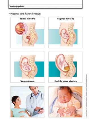CL1
Nombre y apellidos: .....................................................................................................................

• Imágenes para ilustrar el trabajo:
Segundo trimestre

Tercer trimestre

Final del tercer trimestre

© GRUPO ANAYA, S.A., Conocimiento del Medio 4.º Educación Primaria. Material fotocopiable autorizado.­

Primer trimestre

 