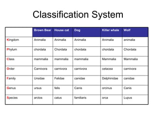 02 taxonomy | PPT