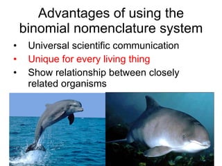 02 taxonomy | PPT
