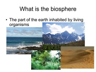 02 taxonomy | PPT