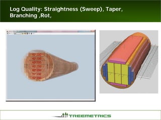 Log Quality: Straightness (Sweep), Taper,
Branching ,Rot,
 