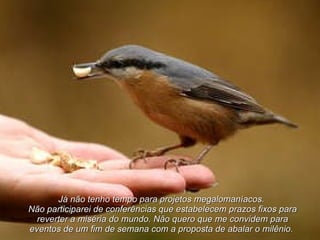 Já não tenho tempo para projetos megalomaníacos.  Não participarei de conferências que estabelecem prazos fixos para reverter a miséria do mundo. Não quero que me convidem para eventos de um fim de semana com a proposta de abalar o milênio.  